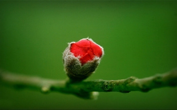 Để cuộc sống được an ổn và vui vẻ